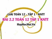 Bài 2.2 SGK Toán 12 tập 1 Kết nối tri thức